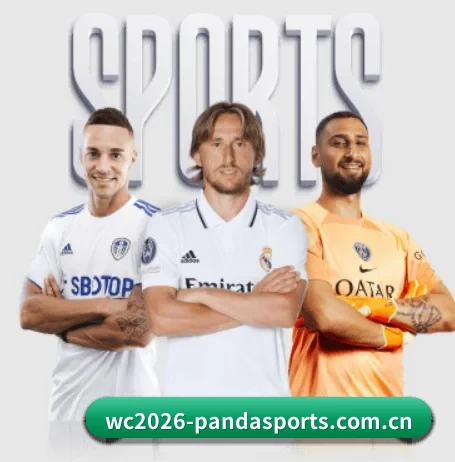 wc2026-pandasports.com.cn的方向 - 长期内容价值积累